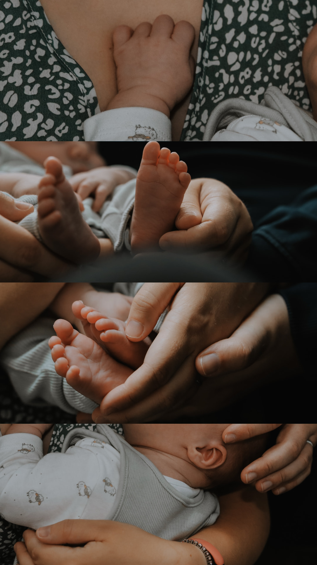 A collage of tiny newborn details · feet, hands and ears held gently