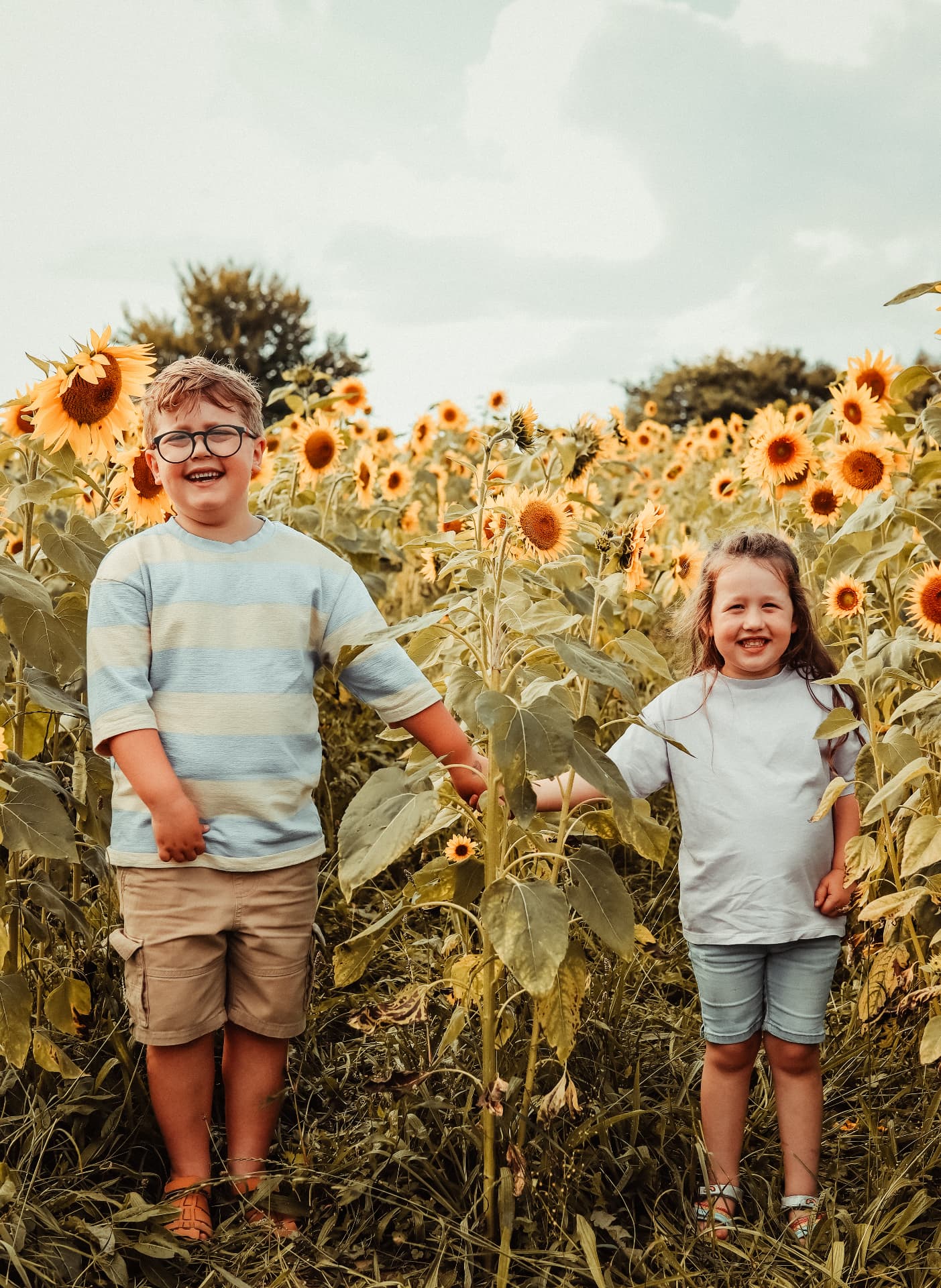 Brother and sister laughing side by side in a tall sunflower field